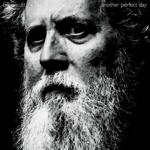 Bill Orcutt: Another Perfect Day - Vinyl Lp 1