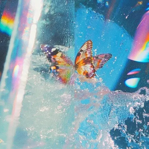 Daphni: Butterfly - Vinyl Lp 1