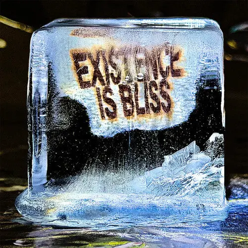 Deadletter: Existence Is Bliss - Autographed Transparent Glitter Colored Vinyl - Vinyl Lp 1