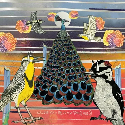 Jaimie Branch: Fly Or Die - Vinyl Lp 1