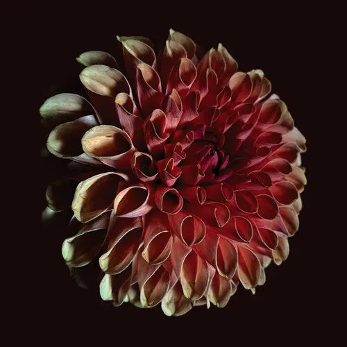 Jessica Moss: Unfolding - Compact Discs 1
