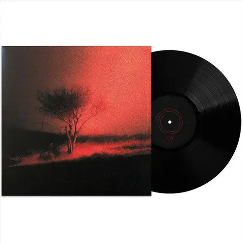 Joji: Piss In The Wind - Vinyl Lp 1