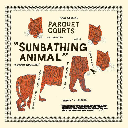 Parquet Courts: Sunbathing Animal - Compact Discs 1