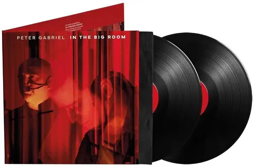 Peter Gabriel: In The Big Room - Vinyl Lp 1