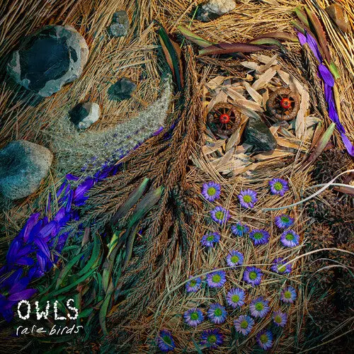 The Owls: Rare Birds - Vinyl Lp 1