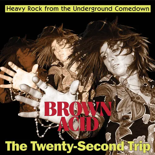 Various Artists: Brown Acid - The Twenty-Second Trip (Various Artists) - Vinyl Lp 1